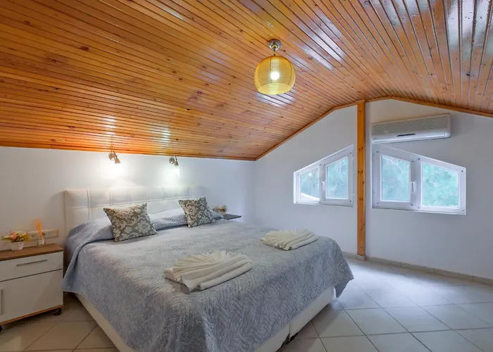 Xclusive Узюмлю