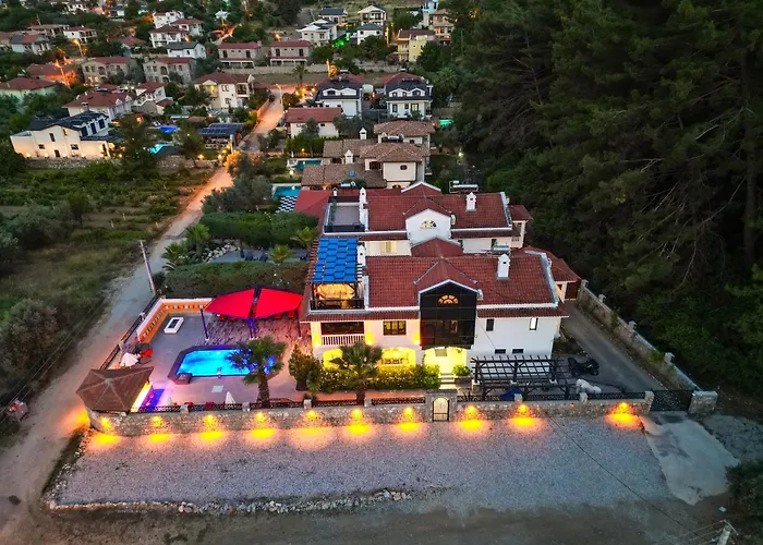 Xclusive * Узюмлю